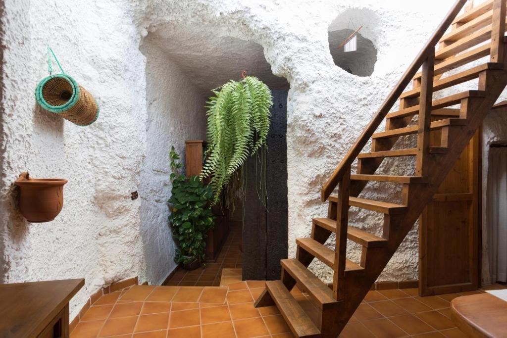 Live Socorro Cave Villa Guimar Exterior photo