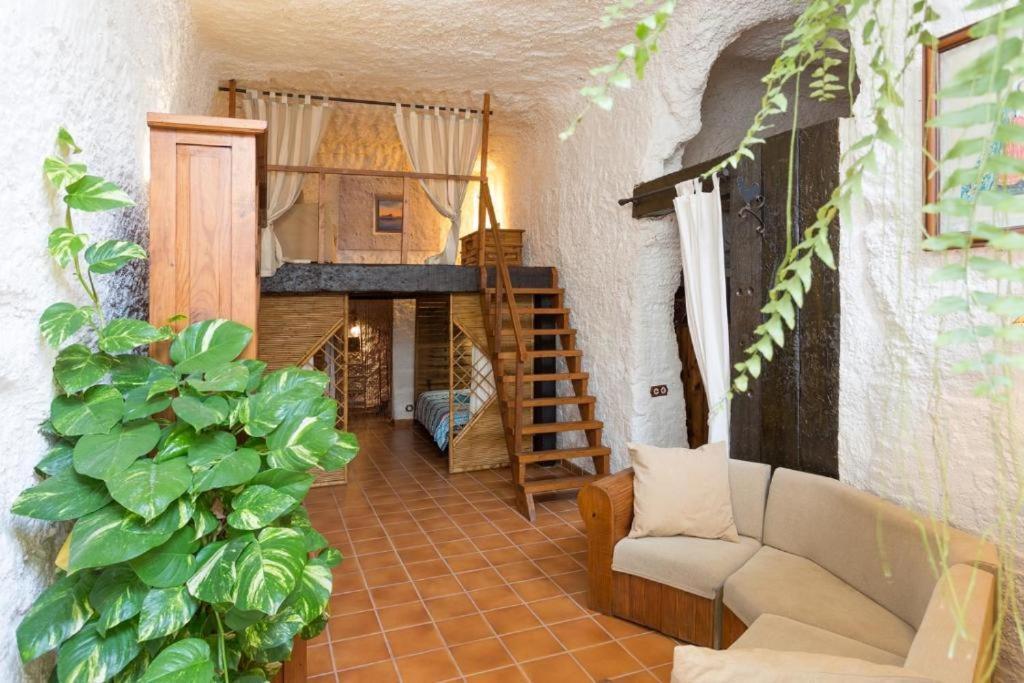 Live Socorro Cave Villa Guimar Exterior photo